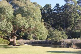 Tawharanui Lodge Warkworth Exterior foto
